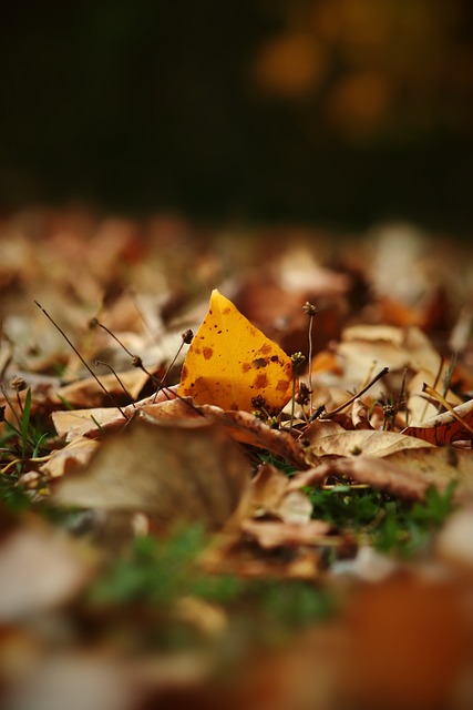 托夫的伤病 托夫的伤病