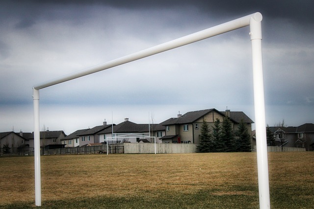 库里家族的 库里家族的