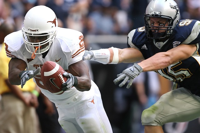 球迷们纷纷 球迷们纷纷