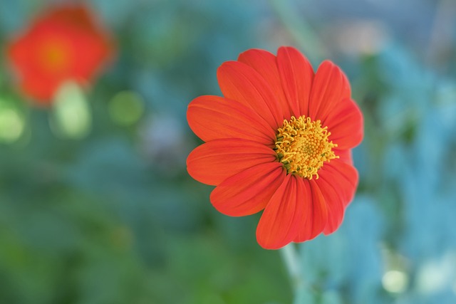 理响中国·创作经验谈：《自信之源》：寻古问今 简而意足.