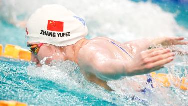 本土联赛的 本土联赛的