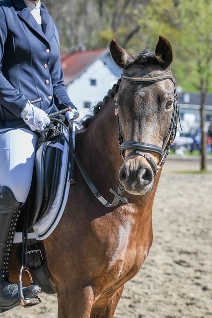 功不仅仅依 功不仅仅依